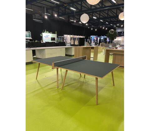 PING PONG BORD