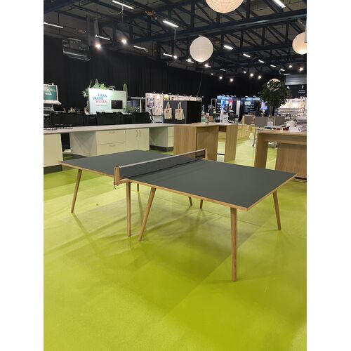 PING PONG BORD
